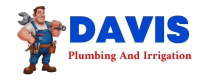 Trusted plumber in LARSEN